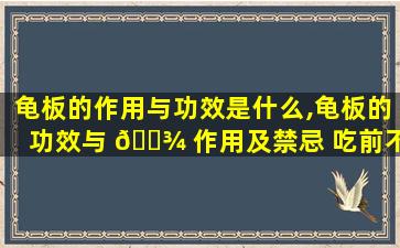 龟板的作用与功效是什么,龟板的功效与 🌾 作用及禁忌 吃前不能不 💐 看!